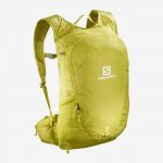 Salomon Trailblazer 20